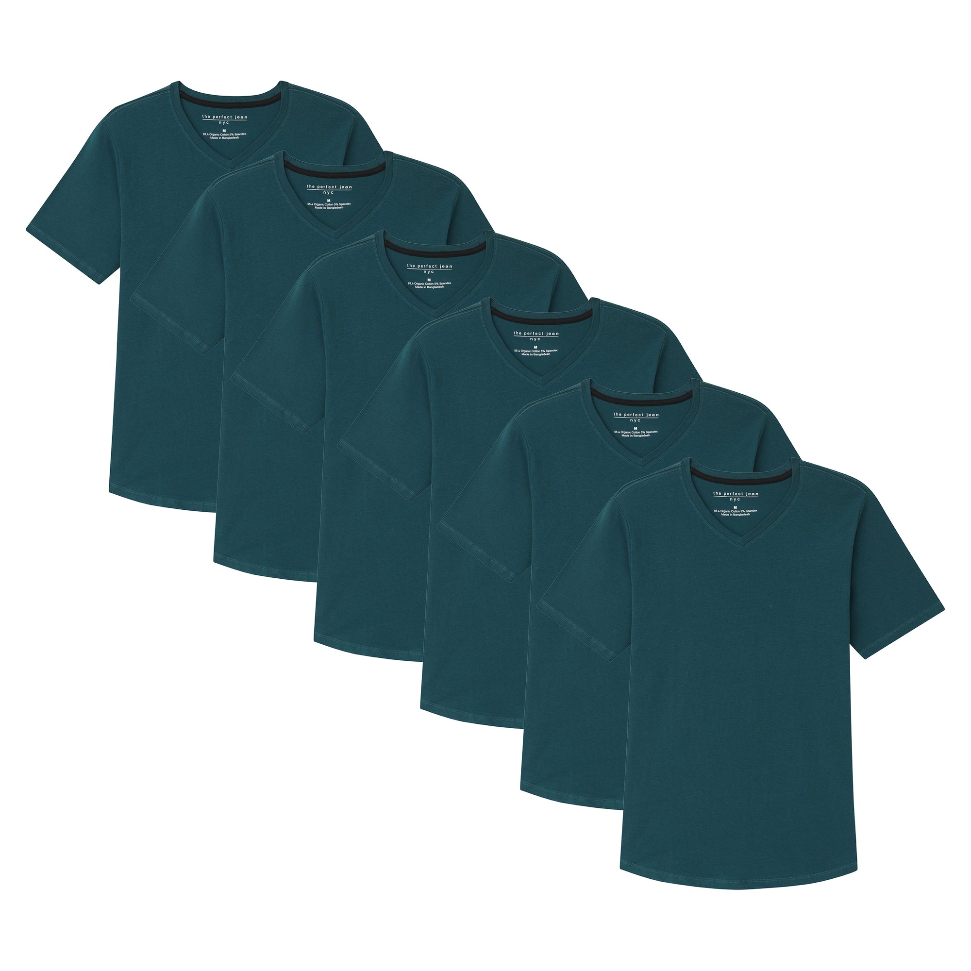 Organic V-Neck T-Shirt 6 Pack / Teal