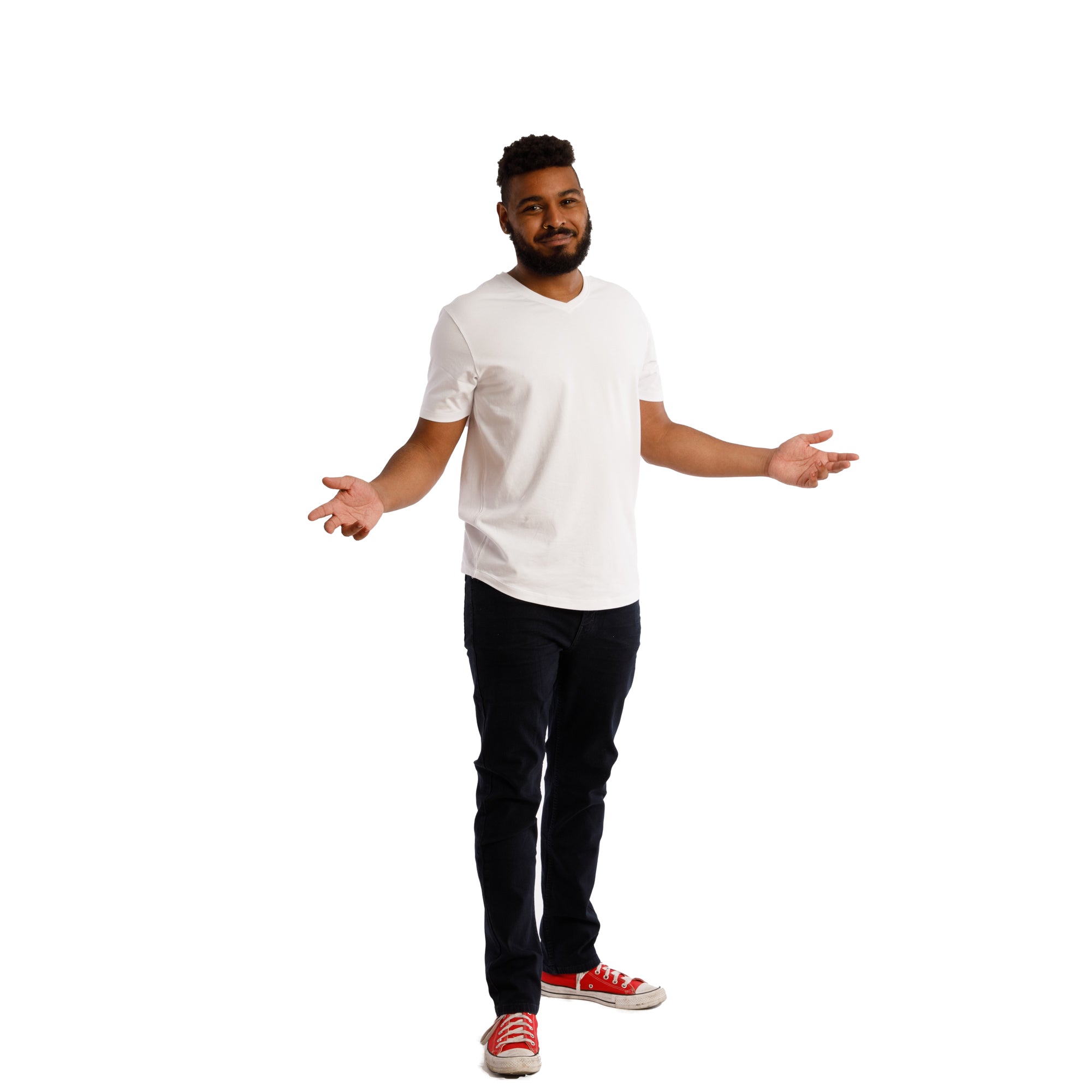 Organic V-Neck T-Shirt 6 Pack / White | The Perfect Jean